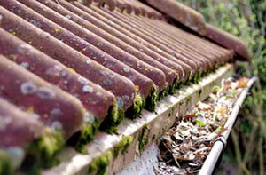 Gutter Cleaning Balderton (01636)